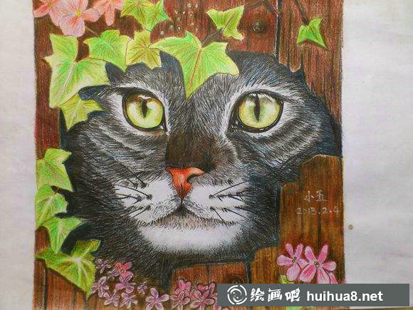 彩鉛貓咪插圖作品15