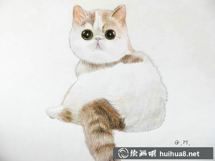 彩鉛貓咪插圖作品17
