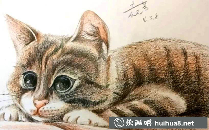 彩鉛貓咪插圖作品18