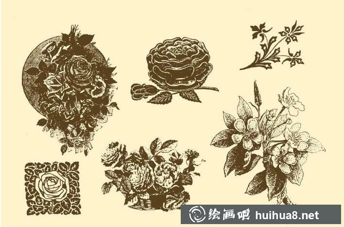 鋼筆畫(huà)花卉圖片17