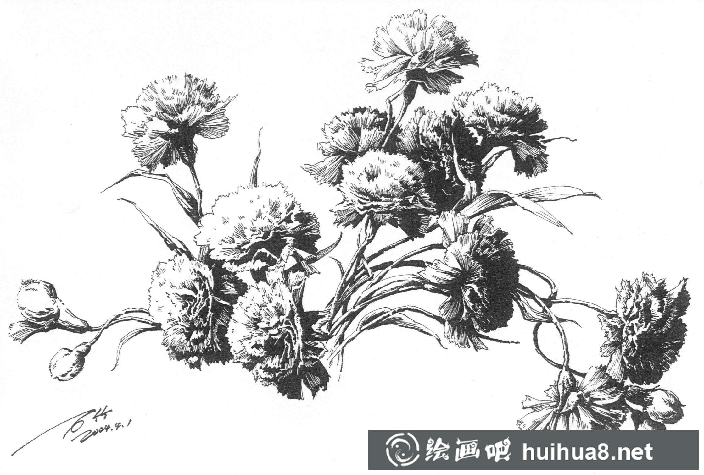 鋼筆畫(huà)花卉圖片15