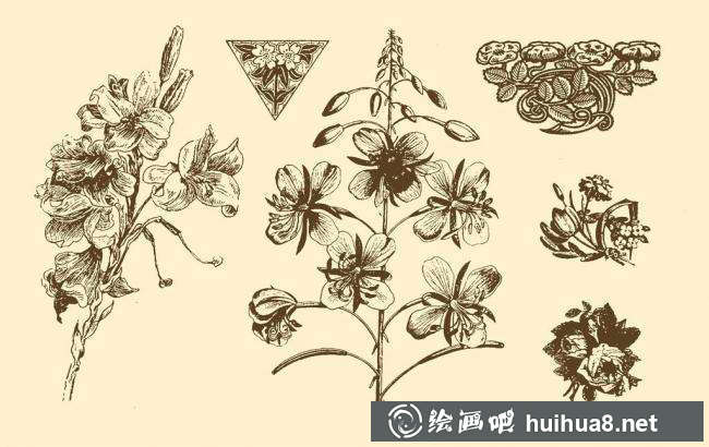 鋼筆畫(huà)花卉圖片11