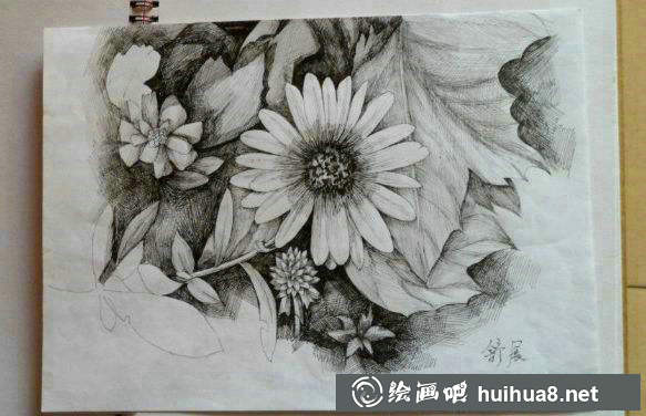 鋼筆畫(huà)花卉圖片10