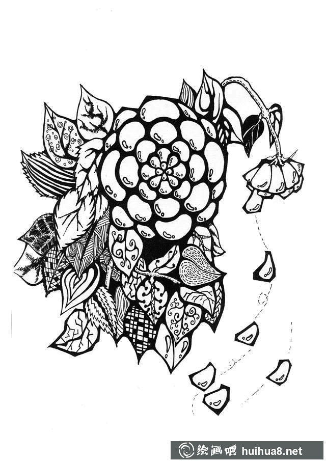 鋼筆畫(huà)花卉圖片8