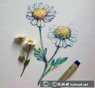 針管筆繪花寫(xiě)實(shí)美圖賞析