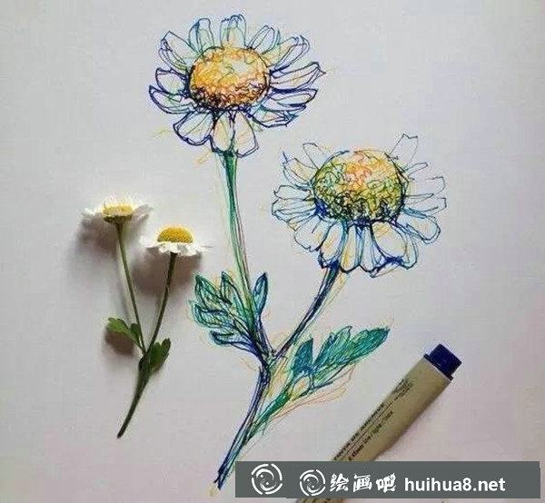 針管筆素描寫實(shí)唯美花朵1