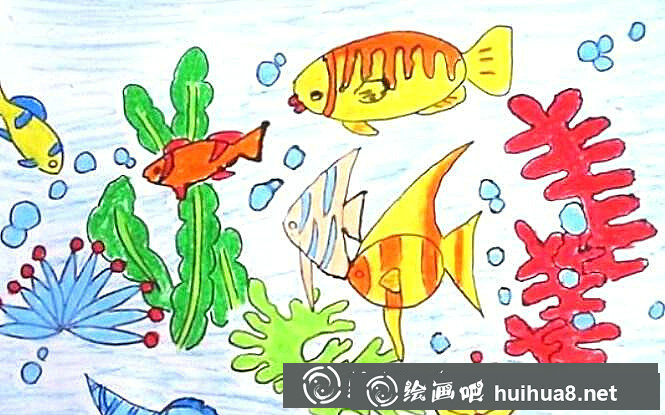 珊瑚王國