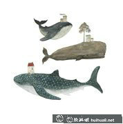 動物插畫鯨魚插畫作品賞析