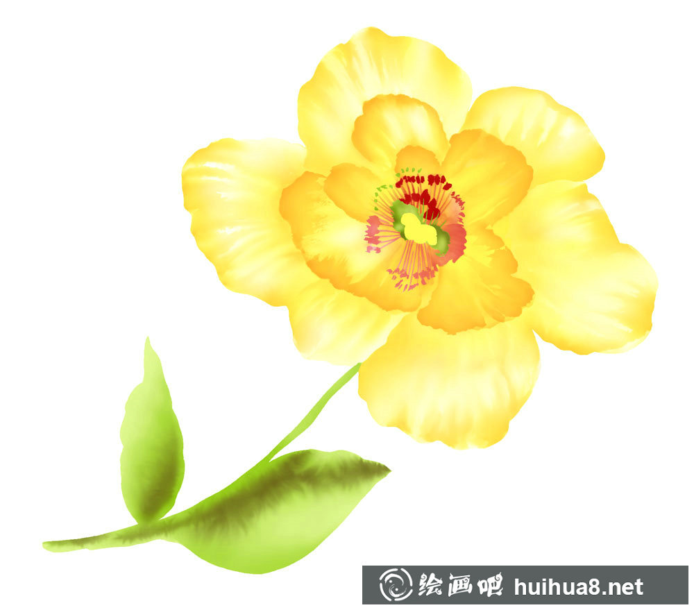 郁金香水彩畫