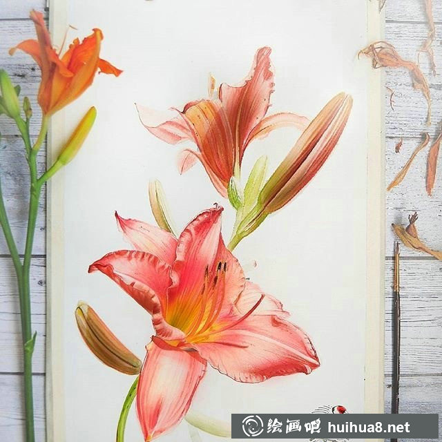 水彩畫：可臨摹水彩畫花卉作品欣賞