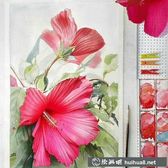 水彩畫：可臨摹水彩畫花卉作品欣賞