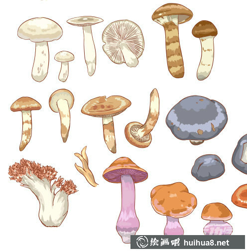 蘑菇漫畫5