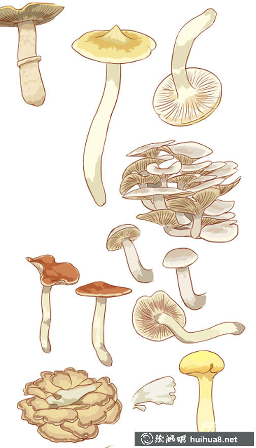 蘑菇漫畫8