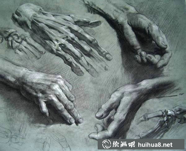 手部結(jié)構(gòu)素描
