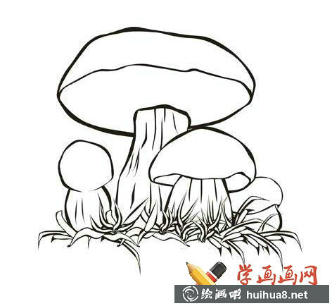 蘑菇簡筆畫圖片(4)