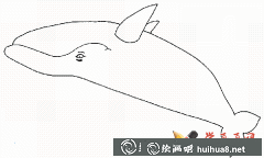 兒童學(xué)畫鯨魚簡筆畫圖集
