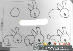 小兔子簡筆畫圖片教程
