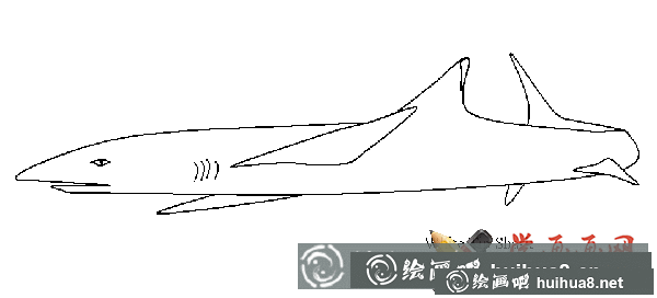 鯊魚簡(jiǎn)筆畫大全(1)