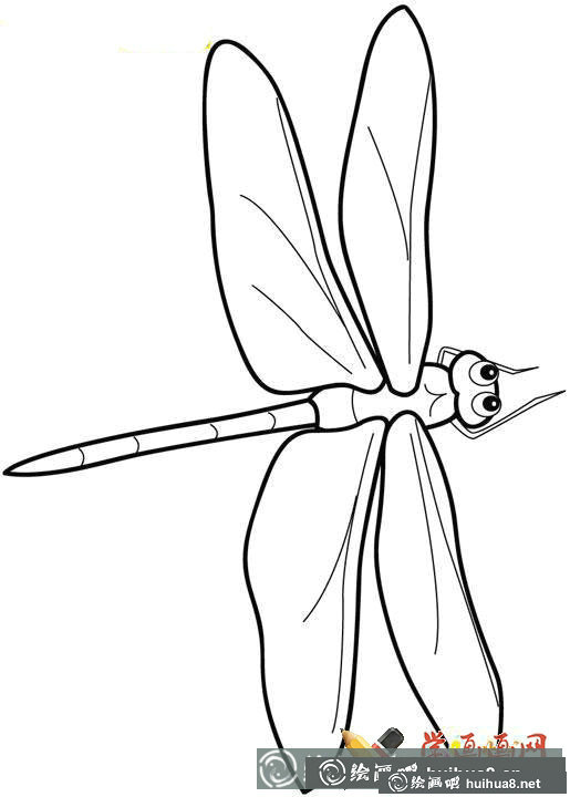 蜻蜓簡(jiǎn)筆畫大全