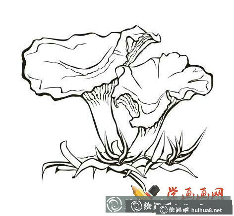 蘑菇簡筆畫圖片(3)