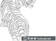 老虎簡(jiǎn)筆畫(huà)圖片18
