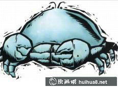 螃蟹圖片4