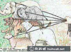 海洋生物保護(hù)漫畫(huà)