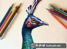 摩根·戴維森彩鉛畫作品17