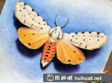 摩根·戴維森彩鉛畫作品21