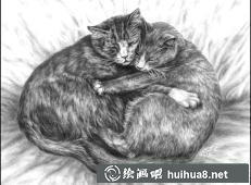 貓咪素描畫(huà)10
