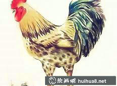 雞年彩鉛畫8