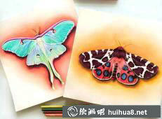 摩根·戴維森彩鉛畫作品20