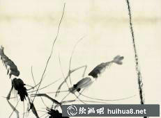 齊白石 魚蝦冊頁