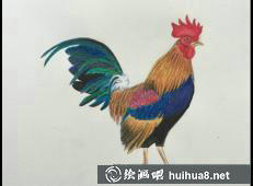 雞年彩鉛畫15