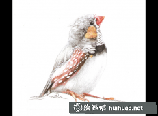 雞年彩鉛畫11