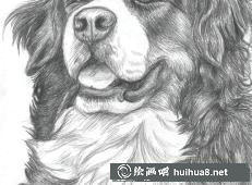 一只可愛(ài)的小兔子素描畫(huà)