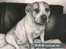 一只憨態(tài)可掬的小熊素描畫(huà)