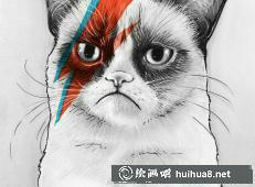 貓咪素描畫(huà)15