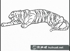 老虎簡(jiǎn)筆畫(huà)圖片15