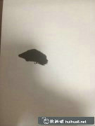國畫教程牡丹葉子畫法