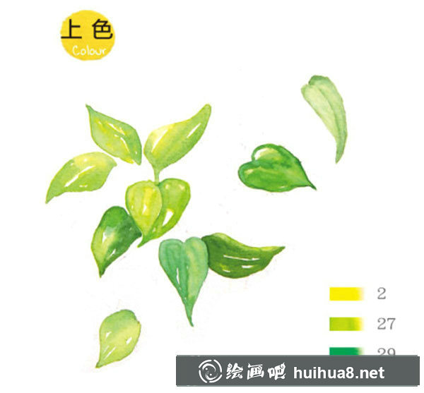 水彩透明玻璃和綠葉植物的畫法