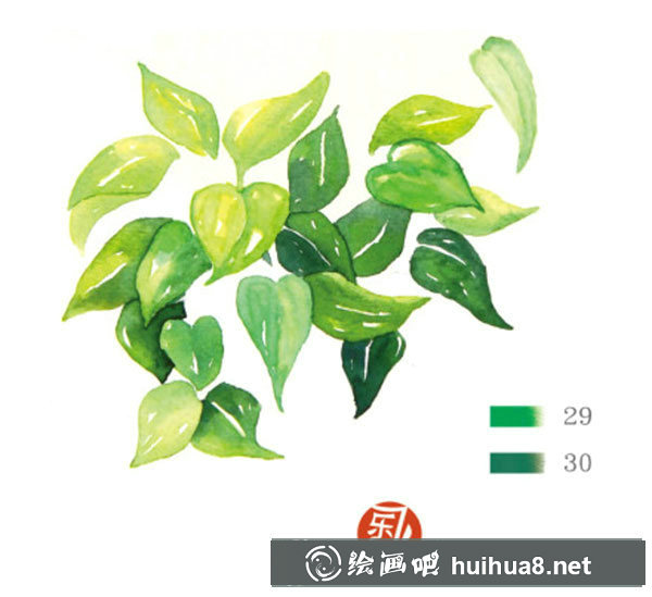 水彩透明玻璃和綠葉植物的畫法
