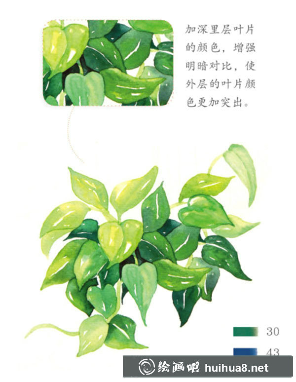 水彩透明玻璃和綠葉植物的畫法