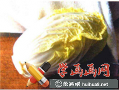 水粉教程大白菜畫法