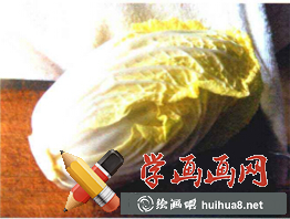 大白菜實物照片 大白菜實物照片