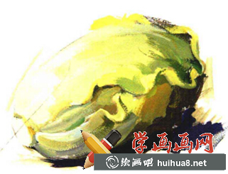 水粉大白菜步驟3 水粉大白菜步驟3