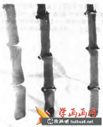 國畫竹子技法解析