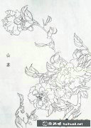山茶花美圖鑒賞五幅