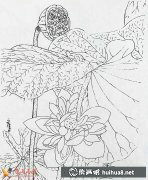 白描花卉圖賞荷花五幅