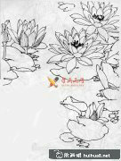 白描睡蓮藝術(shù)美圖